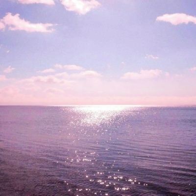 油管主播模拟器最新版本下载