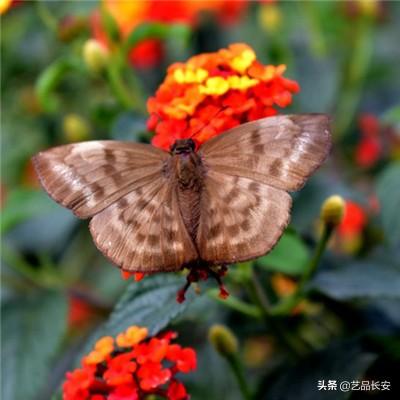 剑侠奇缘破解版无限元宝下载