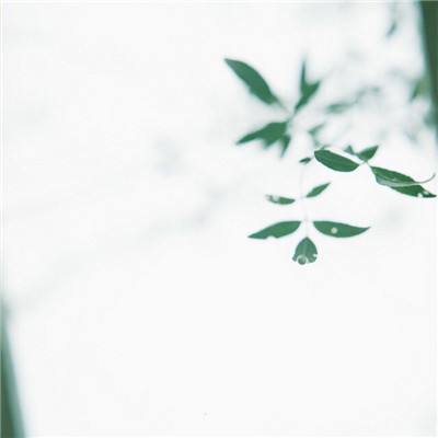 票房大卖王折扣平台下载