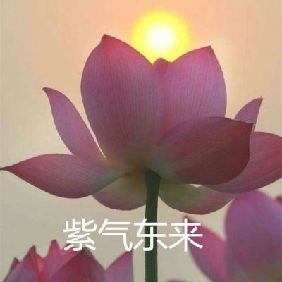 全民枪战pp版本下载